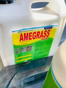 Pengendali Gulma AMEGRASS 500 SC dari Petrosida Gresik