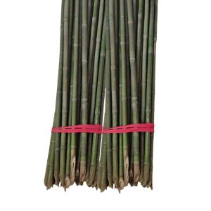 Bamboo Sticks Vegetable Garden Trellis Small Bamboo Fence Climbing Vine Courtyard Greenhouse Garden Artisanal Handmade Decor