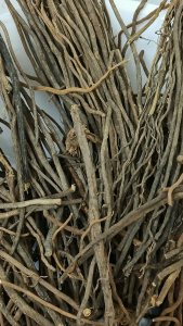 威灵仙 100g Wei Ling Xian