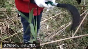 Steel Handle Sickle/Sabit Rumput Grain harvesting Weed removal Outdoor adventure