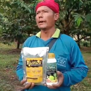 17 Plus สิบเจ็ด พลัส ปุ๋ยทางใบ ผลิตภัณฑ์สร้างความสมดุลให้แก่พืช สมบูรณ์ สะสมอาหาร เพื่อให้ใบใหญ่ใบหนา