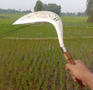 ARIT MERK DEWI BINTANG SUPER TAJAM