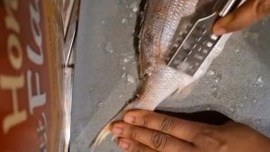 ที่ขูดเกล็ดปลาสแตนเลส วัสดุเกรดดี ไม่เป็นสนิม ใช้งานง่าย HE0122