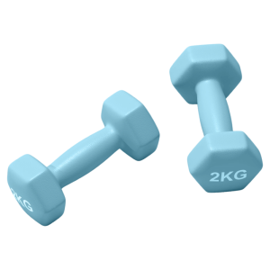 Womens Home Use 2kg Pair Dumbbells