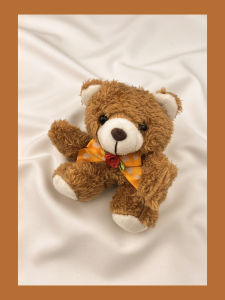 Wireless Bluetooth Teddy Bear AirPods4 Protective Case Second Generation  pro Earphone Cover Third Generation AirPods2