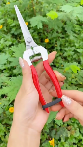 กรรไกรตัดกิ่งดอกไม้ ปลายแหลม กรรไกรตัดกิ่งผลไม้ กรรไกรตัดกิ่งก้านหนา กรรไกรตัดกิ่งผลไม้