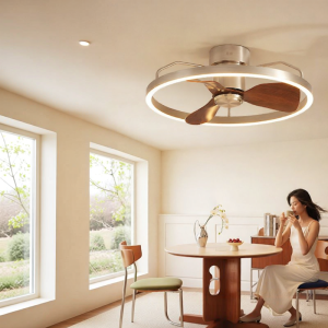 HUIPU ZHAOMING | Vintage Retro Style Integrated Pendant Fan Light