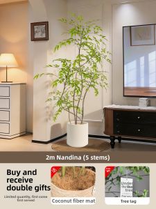 LIANYOU | High-end Luxury Artificial Nandina Large Floor Plant Decor