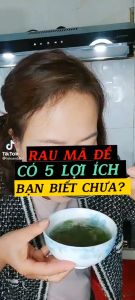 Cây mã đề (hạt giống tự nhiên)