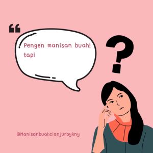 GROSIR MANISAN BUAH KEMASAN 400 GRAM 20 PCS ASINAN BUAH RESELLER