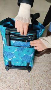 Shopping Lightweight Telescopic Folding Cart