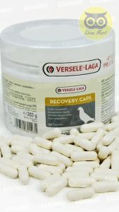 Kicau Mart Recovery Caps Versele Laga Pil Recovery Capsul Pil Merpati Balap Jamu Doping Burung Merpati Pemulihan Pasca Lomba Menjaga Stamina Kekuatan Otot Sayap Jamu Merpati Dara RCVPS