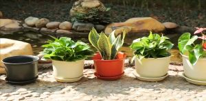 Thickened Resin Plastic Flower Pot Imitation Ceramic Design Perfect for Balcony and Indoor Plants