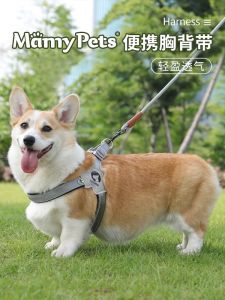 สายรัดคอเดินเลี้ยงสุนัขแบบคาดหน้าอกสำหรับสุนัขขนาดกลางและเล็ก เชือกต�ด้านหน้าและด้านหลังสำหรับเด็ก สุนัข ฝูง สุนัข เส้นใยโพลีเอสเตอร์