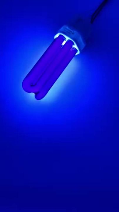 (4 Pack) 43050 Replacement Black Light Bulb for DynaTrap DT1775,DT1750,3/4 Acre and 1 Acre,PLC- 26 Watt