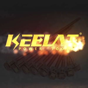 KEELAT 100 Pcs Self Drilling Self Tapping Screws Hexagon Head Wood Drill Screws 304 Stainless Steel Dovetail Screws