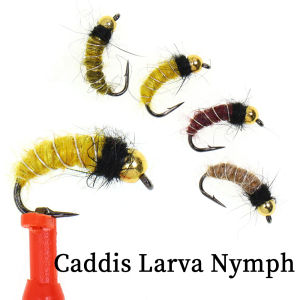 6/8PCS Bead Head Caddis Larva Nymph Fly Realistic Scud Bug Worm for Trout Grayling Fishing Lures (Barbed Hook Fast Sinking)