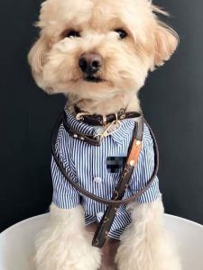 Leather Dog Leash Neck Ring for Small Dogs Teddy Schnauzer Pet Walking Rope Anti-Bite Non-Stretchable Pet Supplies