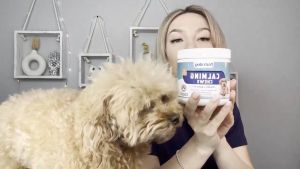 NUTRIDOG 4Pcs Dog Health Kit: A Comprehensive Guide