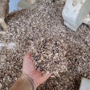 Giác trầm xông đốt dăm trầm tẩy uế hàng loại 1 giá gốc tận xưởng tặng kèm nụ trầm