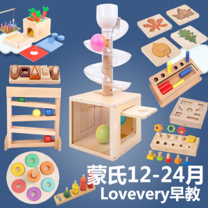 Lovevery Early Education Montessori Toys Box Set for Babies Children Intelligence Development Wooden Toys Gender Neutral