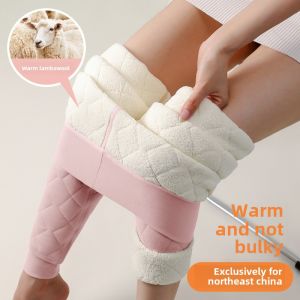 Ready stock)Wool thermal pants womens winter velvet thickened high waist wear leggings Northeast extra thick lamb wool cold-resistant cotton pants