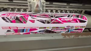 Honda click 125 150 v2 v3 Transparent winker eye High-Quality Decals and Stickers (dragon eye)