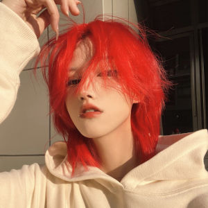 Internet celebrities with the same wig short straight hair big red mullet head wig male personality hair cover program performance wig wolf tail