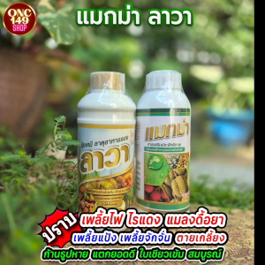 🔥[ชุดทดลอง]🔥 แมกม่า ลาวา (แมกม่า 250 ซีซี + ปุ๋ยน้ำ ลาวา 500 ซีซี) เพิ่มประสิทธิภาพการดูดซึม กำจัดเพลี้ยไฟ ไรแดง แมลง ช่วยเร่งการเจริญเติบโต