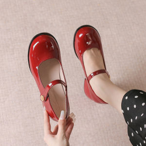 Retro French Mary Jane Single Shoes Spring 2025 New Style Womens round Head Brushed Leather High Gloss Thick Heel Fashionable