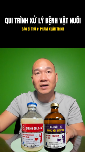 TRỊ HEO CO GIẬT( QUINOGOLD - LA + GLUCO C)