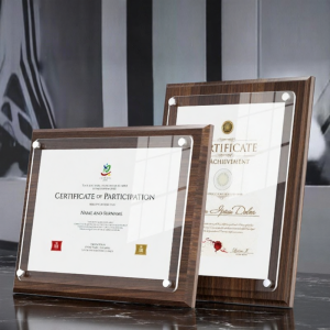 Certificate & Award Display Frame