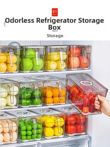 Zhifan | Freezer Safe Food Grade Preservation Box