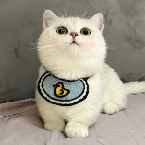 Petone dOrage | Cute Pet Bib Scarf for Small Dogs and Cats