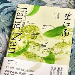 望江南 是王旭烽创作的长篇小说 打开了茶世界也打开了杭家人的爱恨情仇
