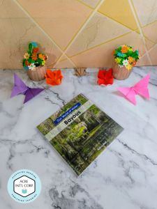 Our World of Water Bayous