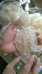Yến sào cao cấp- Chân tổ yến sào