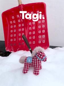 Tagi. Magi Pendant / Companion Plush จี้ม้ามากิ ตุ๊กตาม้ามากิ