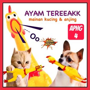 AYAM TERIAK BERBUNYI || MAINAN KUCING & ANJING《APHG#4》
