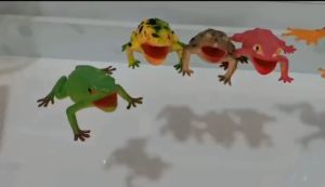 MAINAN EDUKASI HABITAT AMPHIBIA KODOK KATAK UKURAN 7CM WARNA WARNI BAHAN KARET PENCET BUNYI MIRIP ASLI
