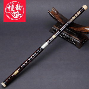 Professional Beginner Flute Old Redwood