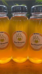 Eco Enzyme Gula Merah 250 ml - Pembersih Alami untuk Noda dan Bau Pakaian