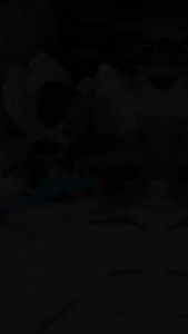 [ BONUS BELL ] SEPEDA ANAK RODA TIGA IORA T 27 PMB SEPEDA RODA TIGA ANAK PMB IORA T27 SEPEDA ANAK TERMURAH