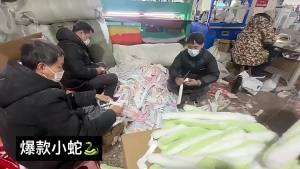 Mainan Mewah Tahun Ular Mainan Mewah Ular Hijau Kecil Boneka Ular Hijau Kecil Boneka Mainan Ular Hijau Kecil Maskot Patung Hiasan