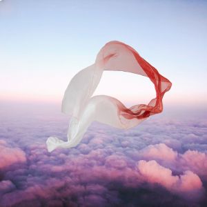 Pure Color Hanfu Dance Skirt Womens Single Piece Ultra Long Sash Gold Embossed Tang Style Group Flower Ancient Lolita