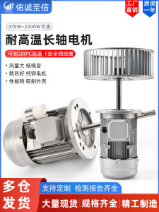 High Temperature Resistant Asynchronous Electric Motor Long Shaft Fan Oven Industrial Heat Cycle Fan Wheel Three Phase Motor