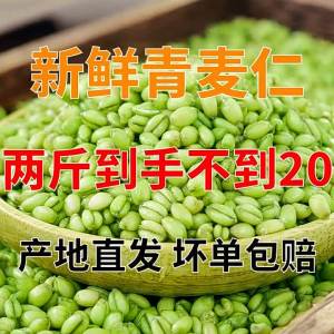 Fresh Wheat Berries