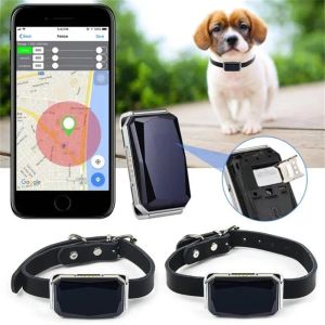 Thiết Bị Định Vị GPS Thông Minh Cho Chó & Mèo - Theo Dõi Thời Gian Thực Độ Chính Xác 5m Chống Nước IP67 Pin 10 Ngày Cảnh Báo Địa Lý