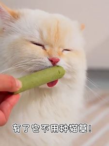 Freeze-dried Cat Grass Treats: A Digestive Aid for Pets