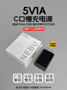 Nebu Mini Slow Charging Head C Port PD5W Charger 5V1A USB-C Data Cable Compatible with Apple 15 pro 16 And Android Devices